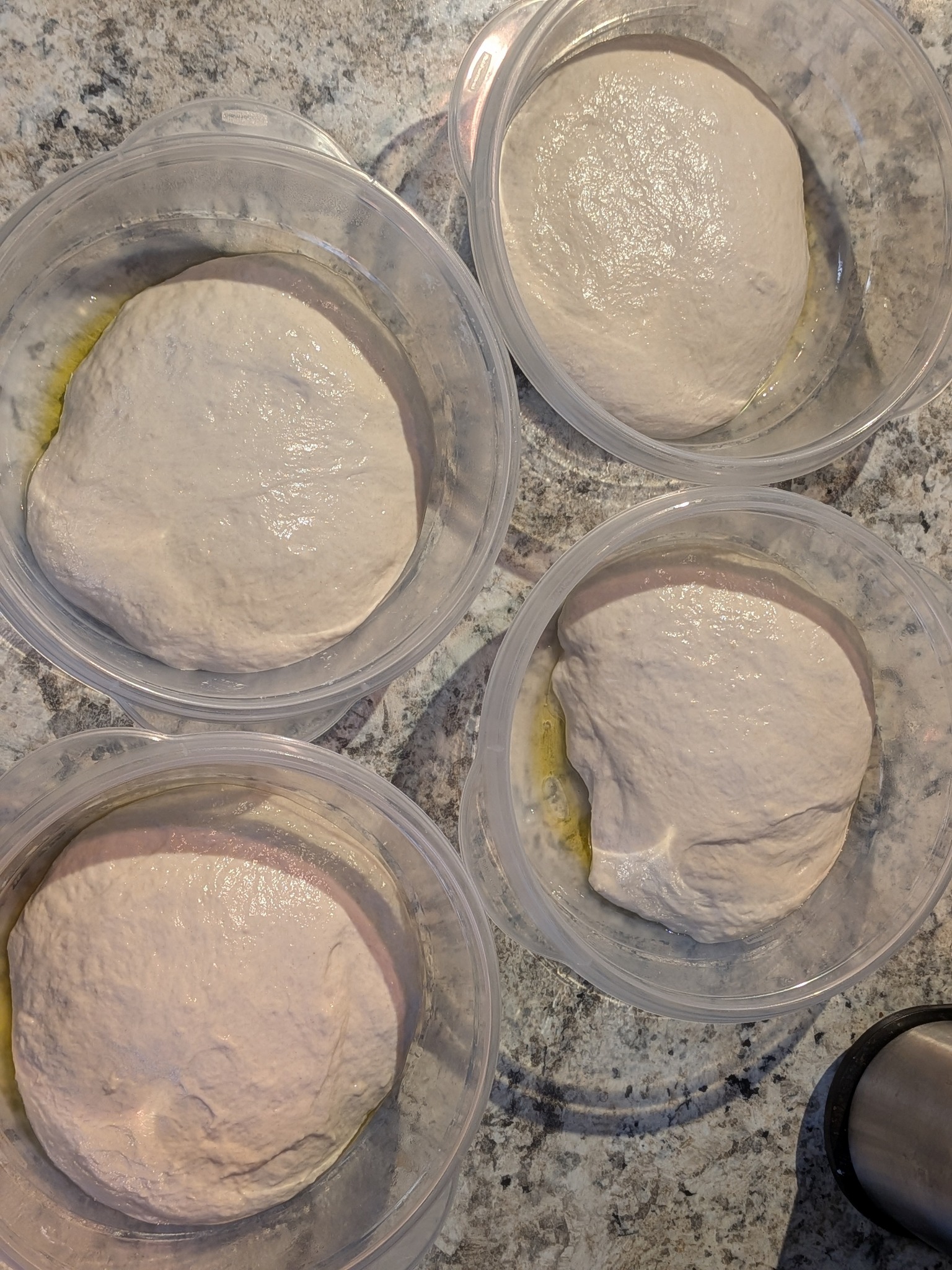 Four cold-fermented sourdough dough balls in plastic containers after a three-day cold ferment, ready to stretch for Neapolitan pizzas