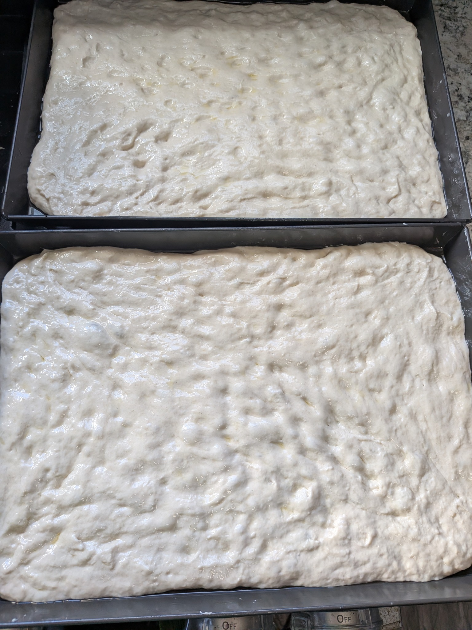 Two rectangular Sicilian pizza doughs stretched and dimpled into Lloyd 10x14 grandma pans before topping and baking