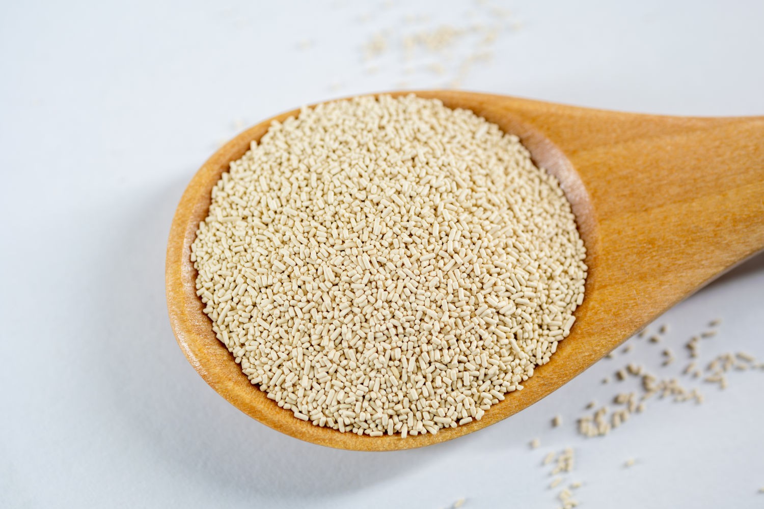 How Much Yeast for Pizza Dough: Amounts by Time, Temperature, and Type