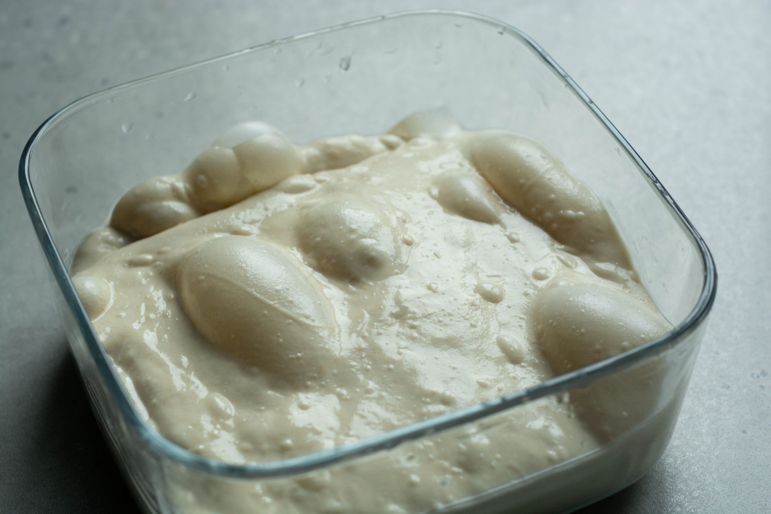 How to Proof Pizza Dough: The Complete Guide to Fermentation, Timing, and Troubleshooting
